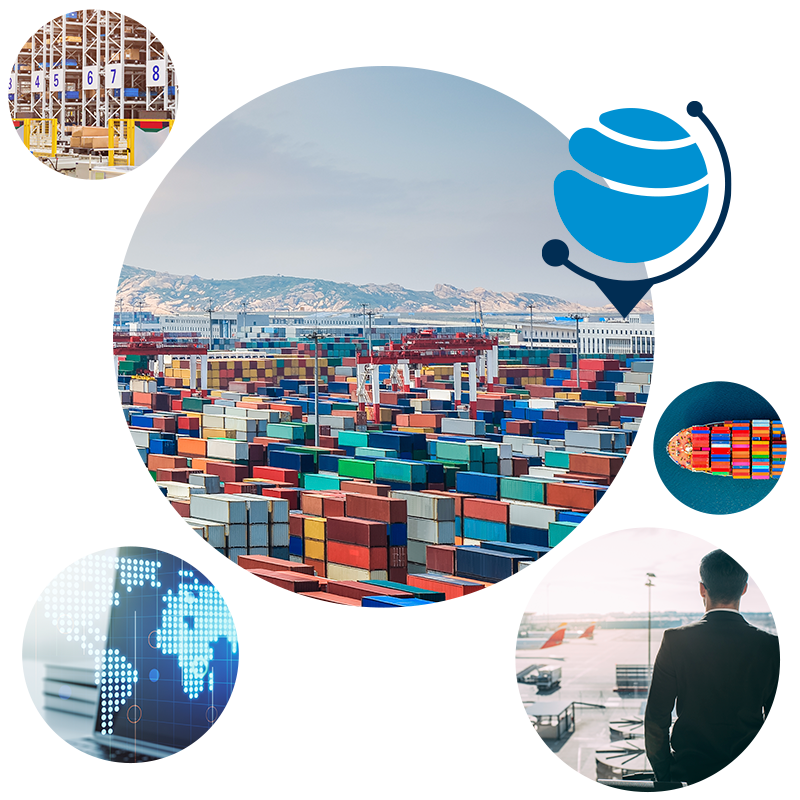 Freight Forwarder Directory - Questions