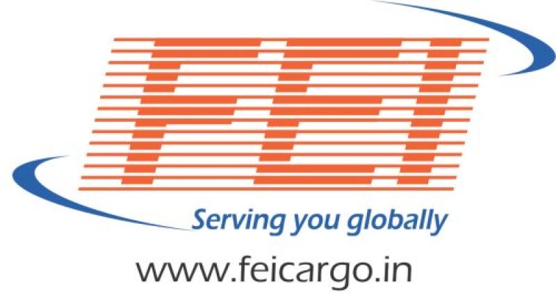 FEI CARGO LTD