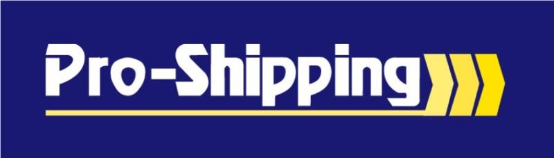 PRO-SHIPPING INTERNATIONAL SA DE CV