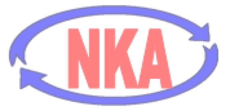 NKA Customs Service, Inc.